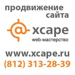 продвижение сайта - СПб